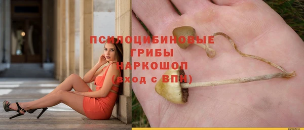 первитин Новокубанск