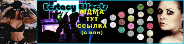 ECSTASY Богородицк