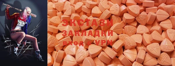 ECSTASY Богородицк