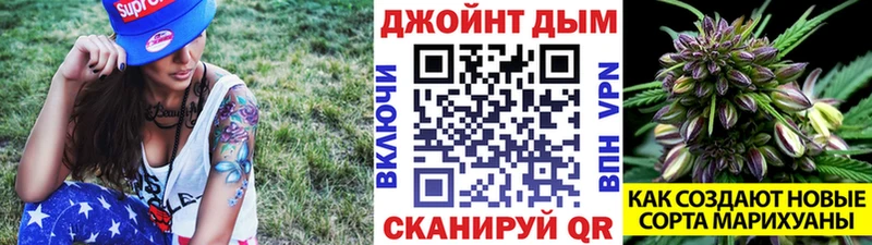 Бошки Шишки планчик  что такое   Чишмы 